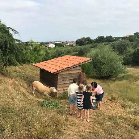 דירה Great Farmhouse Studio Pool Caldas&peniche *