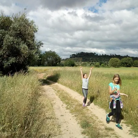 Great Farmhouse Studio Pool Caldas&peniche דירה קלדס דה ריינה