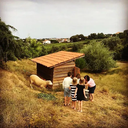 דירה Great Farmhouse Studio Pool Caldas&peniche